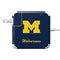 University of Michigan M Logo Bold 85W Power Adapter (15 and 17 inch MacBook Pro Charger) Skin