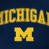 University of Michigan M MacBook Skins