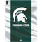 Michigan State University Away Grey Jersey iPad Pro 13in M4 (2024) Skin