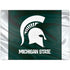 Michigan State University Away Grey Jersey Surface Laptop 7 13.8in Skin