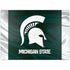 Michigan State University Away Grey Jersey Surface Laptop 7 15in Skin