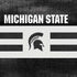 Michigan State University Black and White Stripes PS4 Console and Controller Bundle Skin