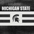 Michigan State University Black and White Stripes PS4 Console Skin