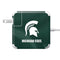Michigan State University Green Jersey 85W Power Adapter (15 and 17 inch MacBook Pro Charger) Skin
