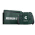 Michigan State University Green Jersey Nintendo Switch Bundle Skin