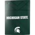 Michigan State University Green Jersey PS5 Bundle Skin