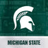 Michigan State University Jersey Split PS4 Console and Controller Bundle Skin