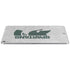 Michigan State University Spartans Half Logo Apple iPad Air Skin