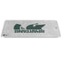 Michigan State University Spartans Half Logo iPad Pro 13in M4 (2024) Skin