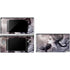 Alchemy Minnaloushe Moon Nintendo Skins