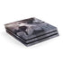 Alchemy Minnaloushe Moon PlayStation PS4 Skins