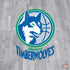 NBA Minnesota Timberwolves Hardwood Classics PS4 Console and Controller Bundle Skin