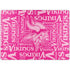 NFL Minnesota Vikings - Blast Pink Surface Laptop 7 13.8in Skin