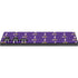 NFL Minnesota Vikings Blitz Series Galaxy S25 Ultra Skin