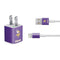 NFL Minnesota Vikings Distressed iPhone Charger (5W USB) Skin