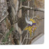 NFL Minnesota Vikings Realtree AP Camo PS5 Pro Console Skin