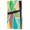 Mojito 01 70s Inspired PS5 Pro Disk Console Skin