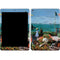 Monet - The Terrace at Sainte-Adresse by Monet iPad Skins