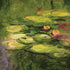 Monet - Waterlilies by Monet Moto G6 Skin