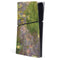Monet - Waterlilies by Monet PS5 Slim Digital Edition Console Skin