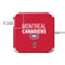 NHL Montreal Canadiens Lineup 85W Power Adapter (15 and 17 inch MacBook Pro Charger) Skin