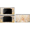 Moon Angel by LA Williams DS Lite Skin