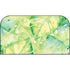 More Palms Please Nintendo Switch 2 (2025) with Joy-Con Skin