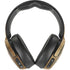 Mr. Heavy Duty Skullcandy Venue Skin