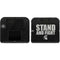 Michigan State University Stand and Fight Nintendo 2DS Skin