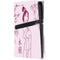 Disney Mulan Character Art PS5 Pro Disk Console Skin