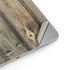 Natural Weathered Wood iPad Pro 13in M4 (2024) Skin
