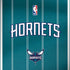 NBA Charlotte Hornets Jersey Amazon Echo Skin