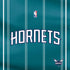 NBA Charlotte Hornets Jersey PS4 Console and Controller Bundle Skin