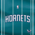 NBA Charlotte Hornets Jersey PS4 Console Skin