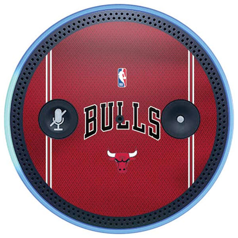 NBA Chicago Bulls Jersey Amazon Echo Skin
