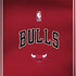 NBA Chicago Bulls Jersey Amazon Echo Skin