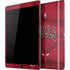 NBA Chicago Bulls Jersey iPad Skins