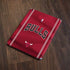 NBA Chicago Bulls Jersey Apple iPad Skin