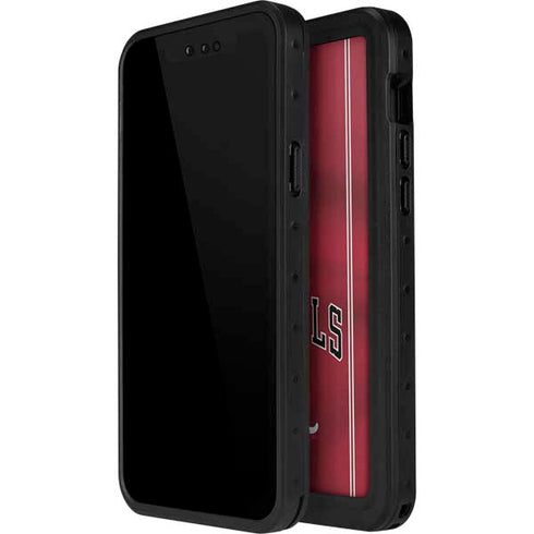 NBA Chicago Bulls Jersey iPhone 12 Waterproof Case