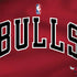 NBA Chicago Bulls Jersey Dell Latitude Skin