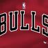 NBA Chicago Bulls Jersey Legion Y720 Skin
