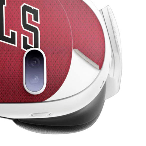 NBA Chicago Bulls Jersey Meta Quest 3 Skin