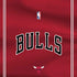 NBA Chicago Bulls Jersey PS4 Console and Controller Bundle Skin