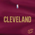 NBA Cleveland Cavaliers Jersey PS4 Console and Controller Bundle Skin