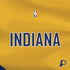 NBA Indiana Pacers Jersey PS4 Console and Controller Bundle Skin