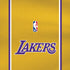 NBA Los Angeles Lakers Jersey iPhone XS Pro Case