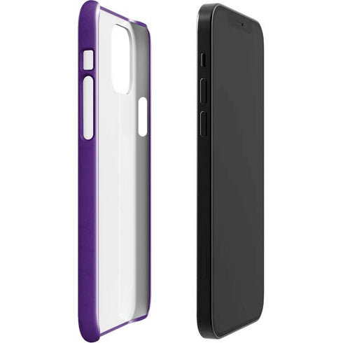NBA Sacramento Kings Distressed iPhone 12 Mini Lite Case