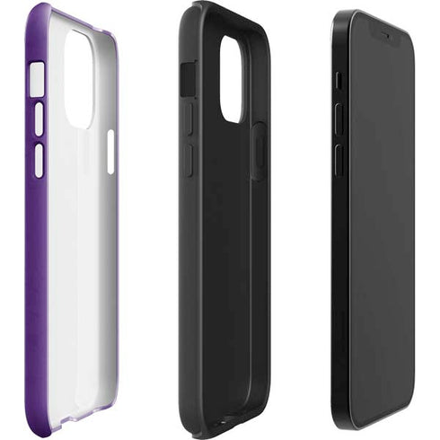 NBA Sacramento Kings Distressed iPhone 12 Pro Impact Case