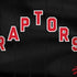 NBA Toronto Raptors Jersey Dell Alienware Skin