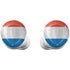 Netherlands Flag Distressed Galaxy Buds Plus Skin